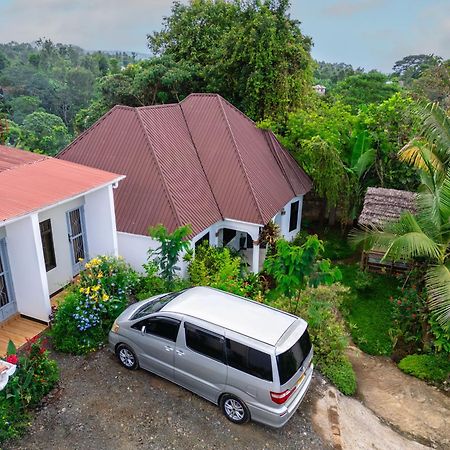 New Dream House Bed & Breakfast Arusha Ngoại thất bức ảnh