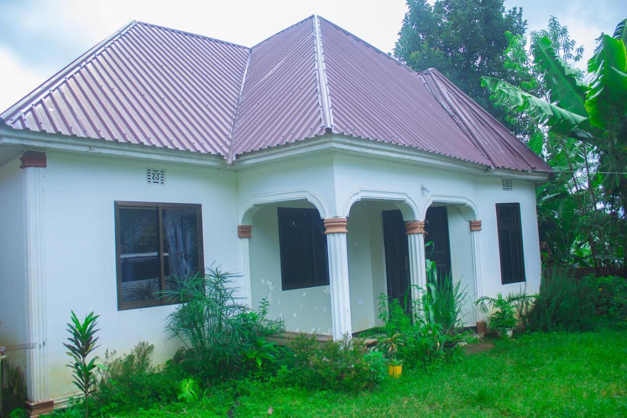 New Dream House Bed & Breakfast Arusha Ngoại thất bức ảnh